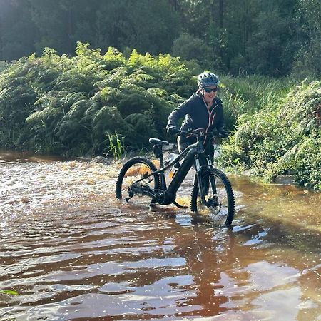 Mad About Saffron Lägenhet Stormsrivier Exteriör bild